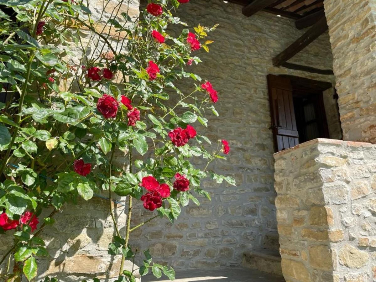 Cascina Manzoni Appartamenti Bossolasco Ngoại thất bức ảnh